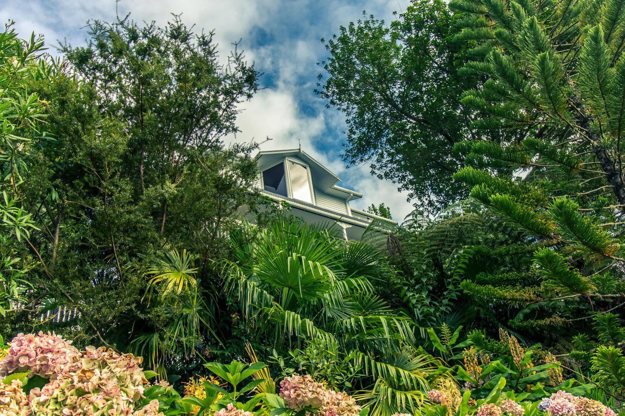 Bed and Breakfast Marlin House Paihia Zewnętrze zdjęcie